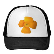 Kalifornien-Mohnblumen-Kappe