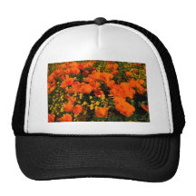 Kalifornien-Mohnblumen Netzcap