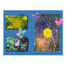 Kalifornien-Wildblume-Postkarte