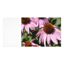 Kalifornische Blume Personalisierte Foto Karte