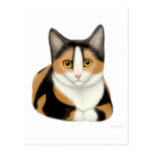 Kaliko-Katzen-Postkarte