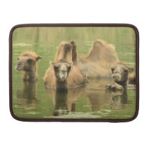 Kamele Yum Sleeve Für MacBook Pro