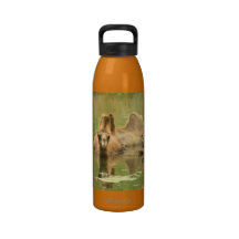 Kamele Yum Wiederverwendbare Wasserflasche