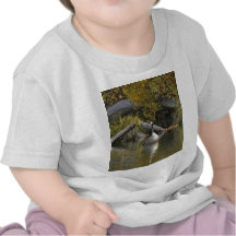 Kanadische Gans Shirt
