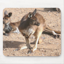 Känguru-wild lebende Tiere Mousepad