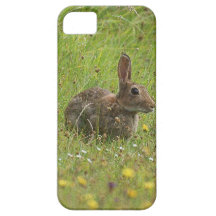 Kaninchen iPhone 5 Schutzhülle