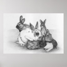 Kaninchen-Plakat