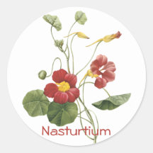 Kapuzinerkäse Sticker