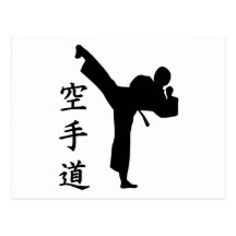 Karate Kung Fu Postkarten