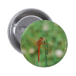 Kardinal Meadowhawk Libellenknopf Buttons