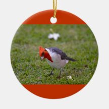 Kardinals-Verzierung mit rotem Schopf Weihnachtsornament