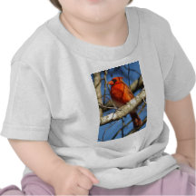 Kardinals-Vogelkunde Tshirt