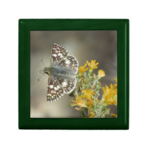 Karierter Kapitän-Schmetterling Erinnerungskiste