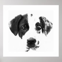 Karma Posterdruck