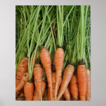 Karotten-Plakat