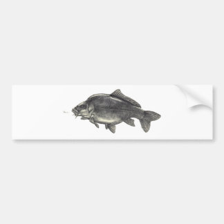 Autoaufkleber Karpfen 1 000 karpfen autoaufkleber zazzle Autoaufkleber Karpfen 1 000 karpfen autoaufkleber zazzle