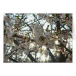 Karte der Abends-Kirschblüten-II
