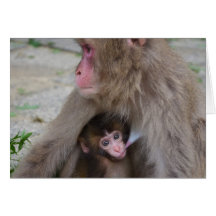 Karte der Mutter-und Baby-Affe-Mutter Tages
