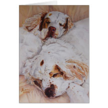 Karte - Komfort - zwei Clumber Spaniels