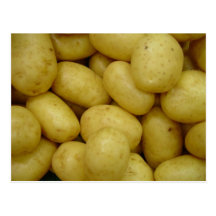Kartoffeln Postkarten