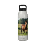Kastanien-Pferdestellungs-Wasser-Flasche Trinkflasche