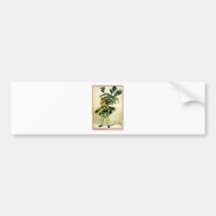 Kasten-Baum-Fee Autosticker