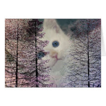 Kätzchen im Holz Grußkarten