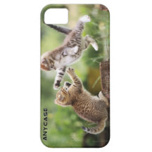 Kätzchen-kundenspezifischer Fall für iPhone 5 oder iPhone 5 Etuis