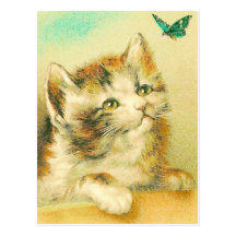 Kätzchen und Schmetterling Postkarte