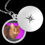 Katze14 runde Locket-Halskette halsketten