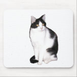 Katze 12, Mausunterlage mauspads