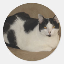 Katze auf einer Couch Runder Aufkleber
