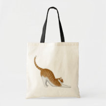 Katze, die Taschen-Tasche ausdehnt