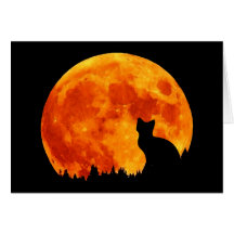 Katze im vollen orange Mond Karte