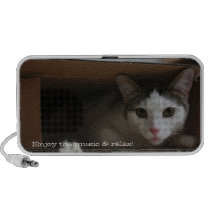 Katze in der Spieluhr - Kartonkatze lautsprecher