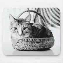 Katze in einem Korb Mauspad