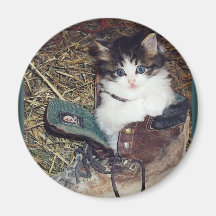 Katze in einem Stiefel Magnete