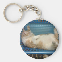 Katze Schlüsselband