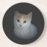 Katze # Untersetzer 4 untersetzer
