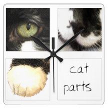 Katze zerteilt Uhr