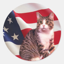 Katzen-Aufkleber ganz amerikanisch
