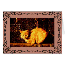 Katzen-Beileid-Karte