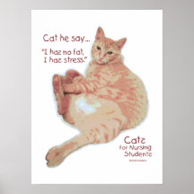 Katzen für pflegenstudenten - I hat Druck Posterdruck