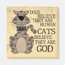 Katzen glauben magnete