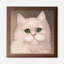 Katzen-Haltung Magnete