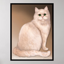 Katzen-Haltung Poster