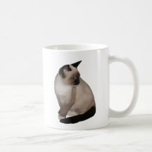 Katzen-Kätzchen-Spaß-Becher Teetasse