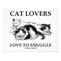 Katzen-Liebhaber-Liebe Snuggle Einladungskarte