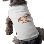 Katzen-orange u. weißes Hundet-shirt Hundetshirt
