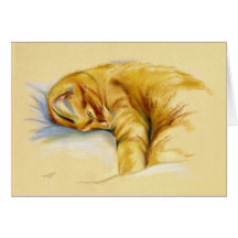 Katzen-Pastell - orange Tabby-entspannte Pose Grußkarte